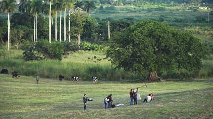 Hey Toronto! WHILE THE GREEN GRASS GROWS: A DIARY IN SEVEN PARTS, Peter Mettler's Magnum Opus, Screens in TIFF Retrospective